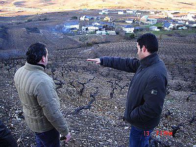 bierzo-1