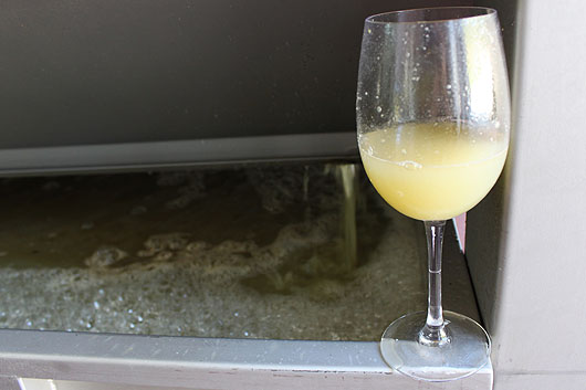 mosto-nates-1
