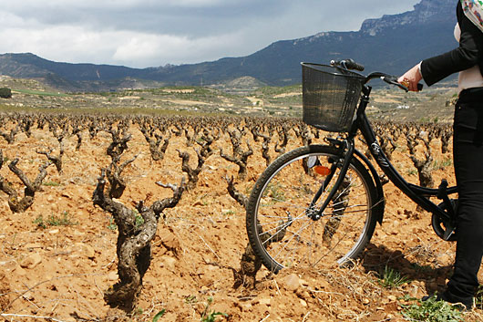 walking-wine-3