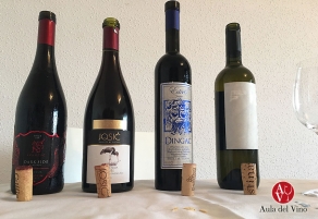 Cata de vinos de Croacia en El Aula