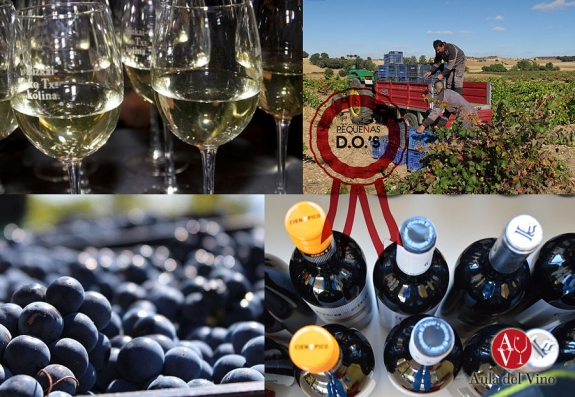 I Concurso Nacional de vino de Pequeñas DO’s