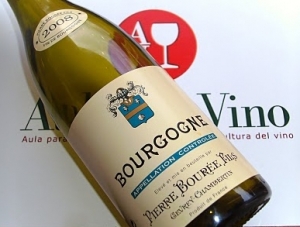 Pierre Bour&eacute;e Fils 2008